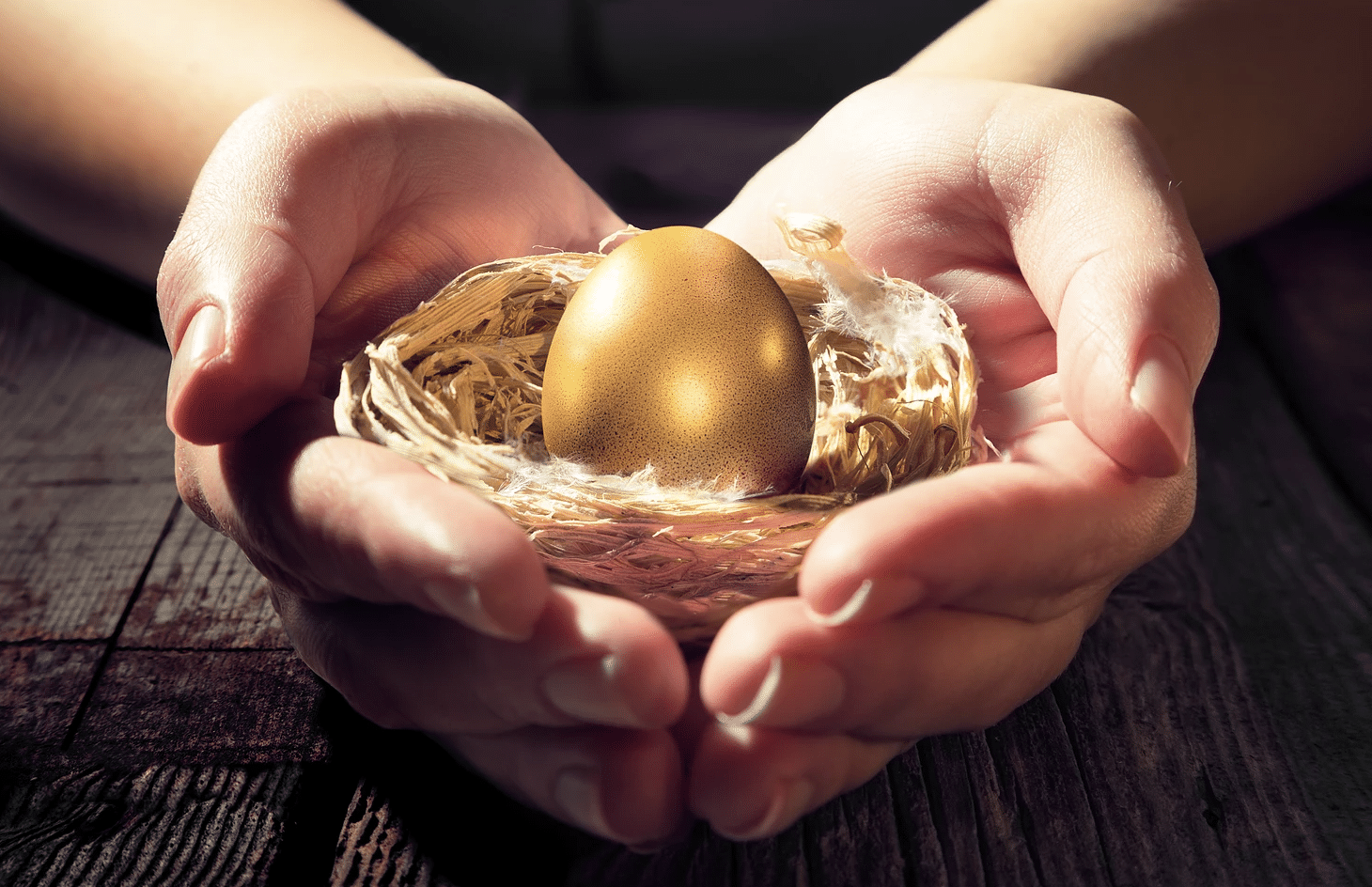 Hands cradling a nest with a golden egg